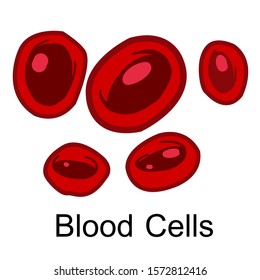Blood cell vector isolated in white background