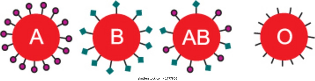 blood cells