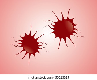 Blood cells