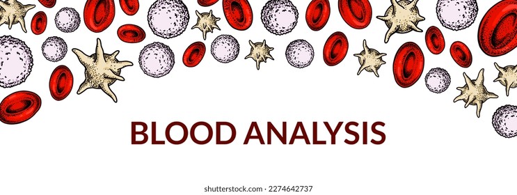 Antecedentes de células sanguíneas. Diseño para análisis de sangre, anemia, donación, hemofilia, conceptos de investigación científica de laboratorio. Ilustración vectorial en el estilo de esbozo