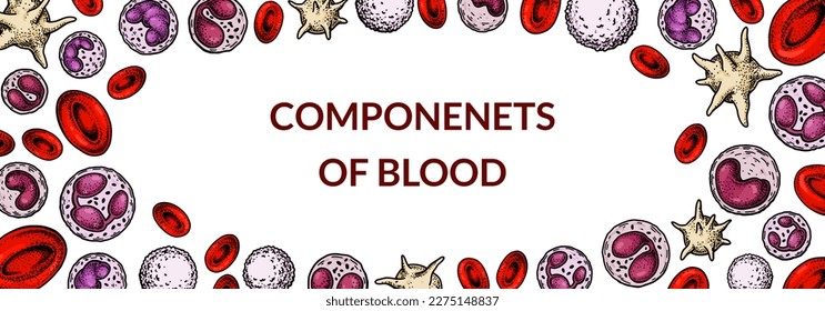 Blood cells background. Design for blood test, anemia, donation, hemophilia, laboratory scientific research concepts. Vector illustration in sketch style