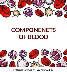 Antecedentes de células sanguíneas. Diseño para análisis de sangre, anemia, donación, hemofilia, conceptos de investigación científica de laboratorio. Ilustración vectorial en el estilo de esbozo