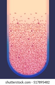 Blood Cells and Plasma in Vial - Vector Illustration