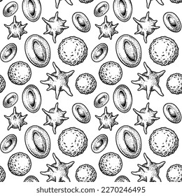 Patrón sin fisuras de los glóbulos sanguíneos. Eritrocitos dibujados a mano, leucocitos y plaquetas. Ilustración científica de la biología en forma de esbozo