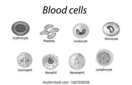 Blood Cells Set Monochrome Cells Red Stock Vector (Royalty Free ...