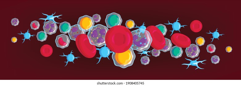Blood cells symbols colorful horizontal composition lymphocytes erythrocytes platelets neutrophils maroon chestnut background banner header vector illustration