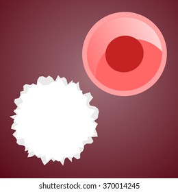 Blood cells vector