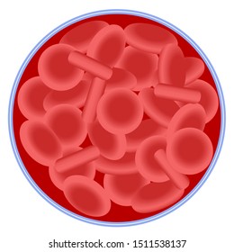 Blood cells vector image. Red blood cells in a circle on a white background vector image