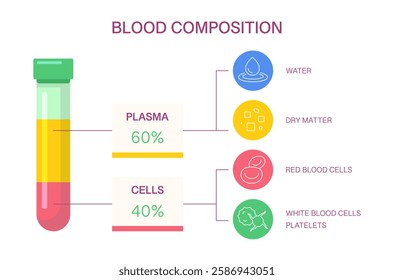 Blood Composition Chart. Infographic of Blood Composition in Test Tube. Vector medical infographic showing plasma, red and white blood cells, platelets, and water content.