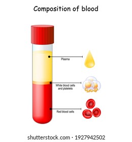 Blood Composition. Test tube, Glassware or flask. Close-up of drop of plasma, platelets, red blood and white blood cells. Vector diagram. Educational illustration.