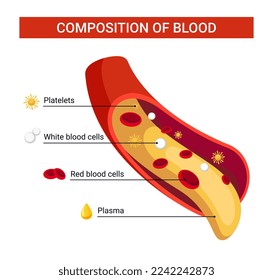 Blood composition vector illustration design concept