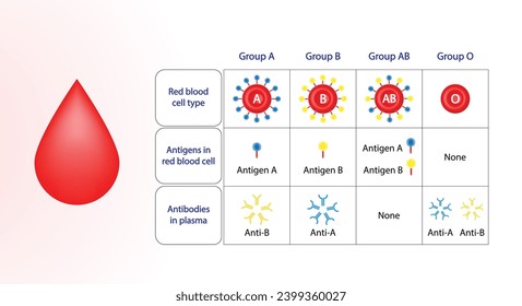 Hintergrund der Blutspende. Abo Blood Group Concept Design. ABO Blutgruppen. Vier Bluttypen, A, B, AB und O Gruppen, die aus Kombinationen der Antigene Typ A und Typ B bestehen. Vektorgrafik.