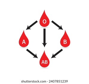 Blood donation chart for different blood groups A, B, AB, O, Recipient and Donor, Compatibility types of blood, Vector illustration