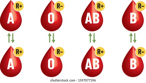 A Blood Donation. Blood Group And RH. Blood Exchange - Blood Groups