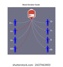 Blood donation guide, blood group A+