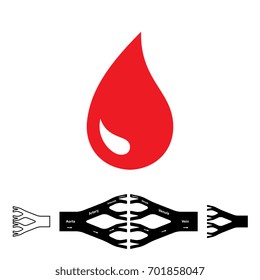 Blood drop icon and circulatory system vector illustration