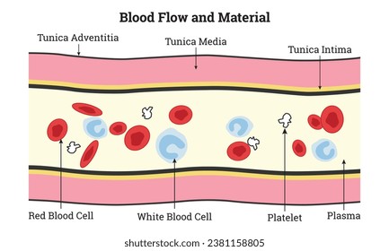 Vektorgrafik des Blutflusses und der Materialwissenschaft