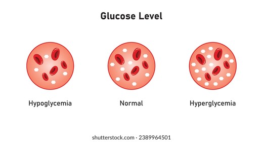 Blood glucose Level Scientific Design. Vector Illustration.