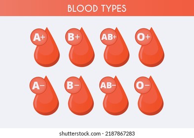 Blood Group Form Drop Blood Different Stock Vector (Royalty Free ...