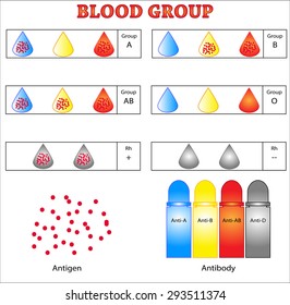 Blood group test ,blood groups for blood transfusion,the ABO and Rh classification