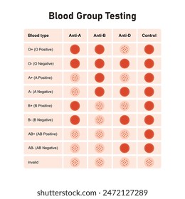 Blood Group Testing Scientific Design. Vector Illustration.