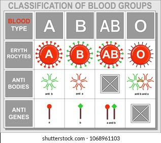 Blood Type Donation Chart