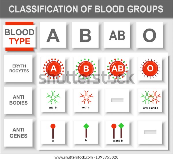 227 All Blood Groups Images, Stock Photos & Vectors | Shutterstock