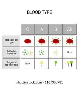Blood Bank Antibody Chart