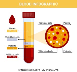 Ilustración infográfica de la sangre, composición de la sangre vectorial