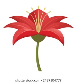 Ilustración plana del vector de la flor del lirio de sangre.