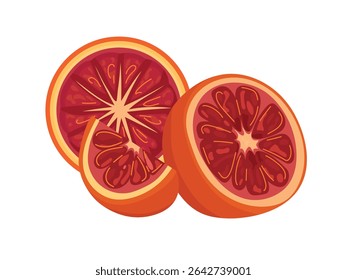 Blutorange. Flacher Vektorclipart, Illustration mit isoliertem Hintergrund.