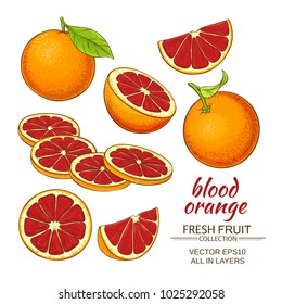 Blood Orange Fruit