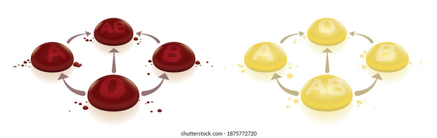 Blood and plasma donation compatibility. Universal donors - front - and recipients - back - for blood and plasma donation and transfusion, depicted with arrows and 3d drops.
