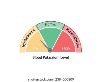 Niveles de potasio en sangre. Hiperpotasemia, niveles plasmáticos elevados de potasio e hipopotasemia, niveles plasmáticos bajos de potasio. Exceso de potasio K y trastornos electrolíticos deficitarios. Ilustración vectorial.