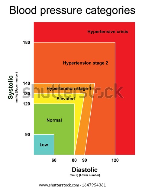 Blood Pressure Categories Infographic Chart Isolated Stock Vector ...