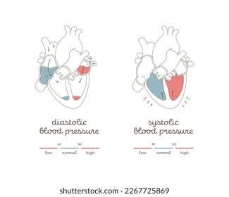 Infografía de presión arterial. Ilustración moderna plana vectorial. Cuadro de hipertensión de la atención de la salud. Órgano cardíaco con flujo sanguíneo y zona de presión baja, normal, alta. Diseño para la salud, cardiología