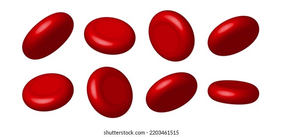 Blood Red Cell 3d Hemostasis Heart Circulatory. Vascular Erythrocyte Red Blood Cell Isolated