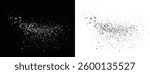 Blood splatter vector black and white color paint ink brush stroke background