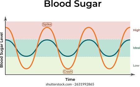 Blood Sugar Levels: A Visual Representation Design Vector Illustration