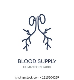 Blood Supply System icon. Blood Supply System linear symbol design from Human Body Parts collection.