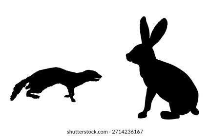 Sangre sedienta comadreja ataque presa conejo Vector silueta ilustración aislada. Pequeño animal mortal en la caza de alimentos. Marten atacando la forma de liebre sombra gráfico de dibujos animados. Problemas en la granja.
