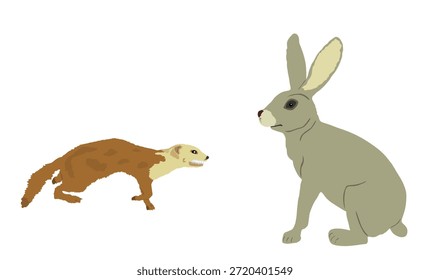 Blutdurstige Wiesel Angriff Beute Kaninchen Vektorgrafik einzeln. Tödliches kleines Tier auf der Jagd nach Nahrung. Marten angreifende Hasen Form Schatten Grafik Cartoon. Ärger auf dem Bauernhof.