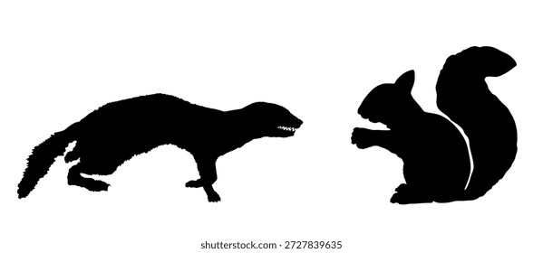 Sangue sede de doninha ataque presa esquilo esquilo silhueta vetor ilustração isolado. Pequeno animal mortal à procura de comida. Marten atacando o desenho gráfico de sombra em forma de roedor.