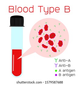 Blood Type B Four Basic Blood Stock Vector (Royalty Free) 1579587688 ...