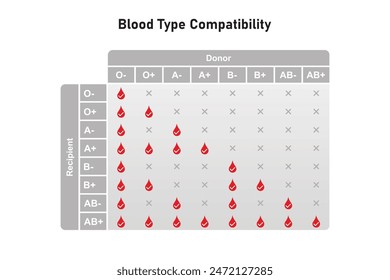 Diseño científico de compatibilidad de tipos de sangre. Ilustración vectorial.