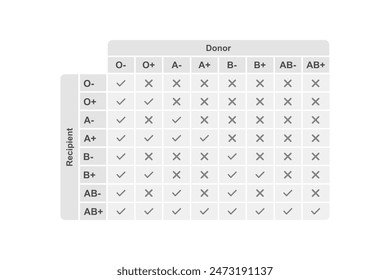 Blood Type Compatibility Scientific Design. Vector Illustration.