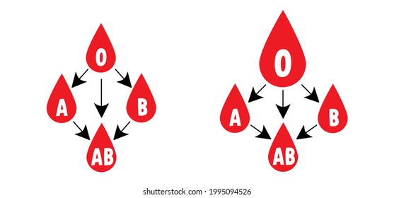 tipos sanguíneos (A, B, AB, O). Destinatario y donante.  Combinaciones entre grupos sanguíneos para donar y recibir sangre.