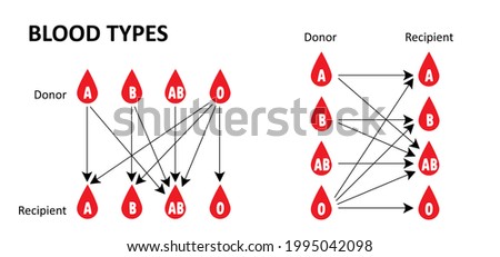blood Types (A, B, AB, O). Recipient and Donor.  Combinations between blood groups for donating and receiving blood.