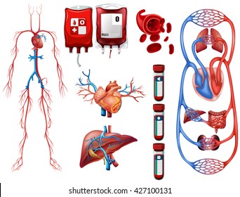 Blood types and breathing system illustration