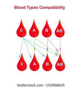 Blood types compatibility banner. Red blood drop 0, A, B, AB, arrows on white. Flat design stock vector illustration for education, for medical
